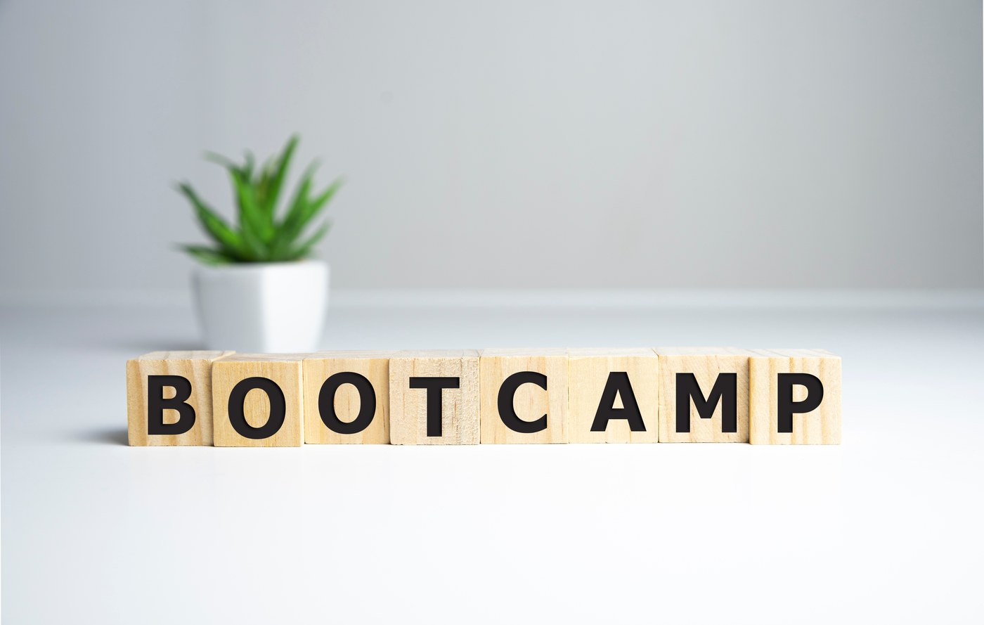 Kaelo Future Works: Career Mastery Bootcamp